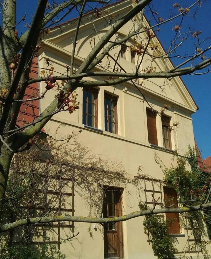 Haus Schmeile Magdeburg Eksteriør bilde